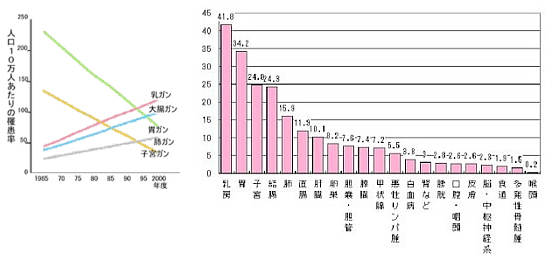 乳癌の罹患率